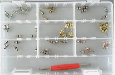 Automobile Air Conditioner Valve Core Combination Set