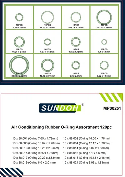 O-Ring Kit 120PCS